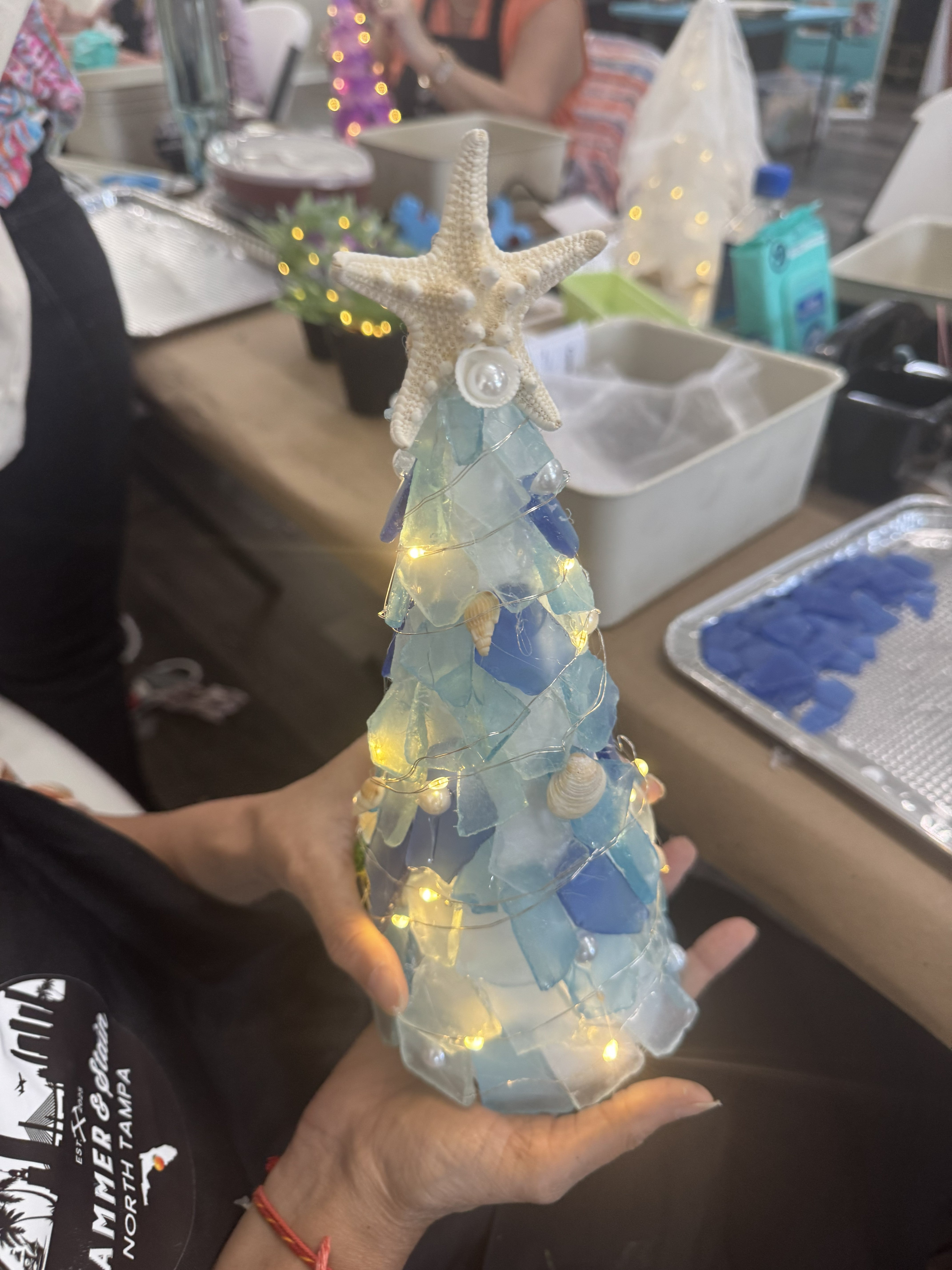 1/11/27 -Private Party- Village of Lake Tarpon HOA
